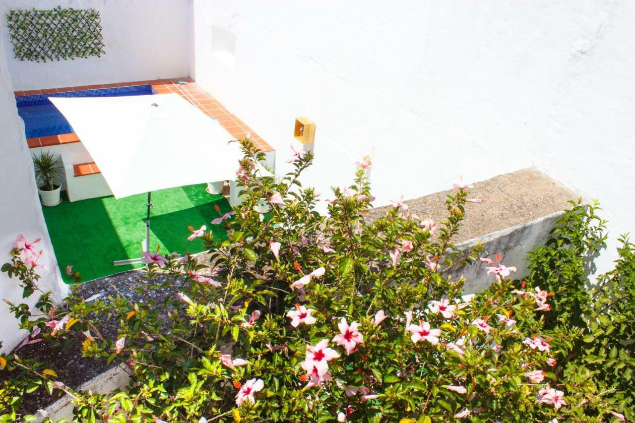 Casa Dos Tios Estremoz-Veiros Villa Exterior foto